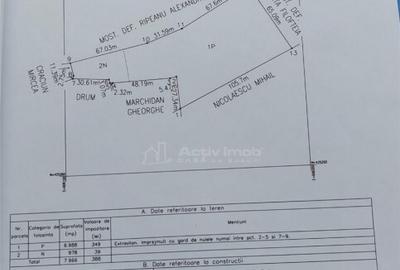 Teren extravilan 10000 mp, com Panatau - 2