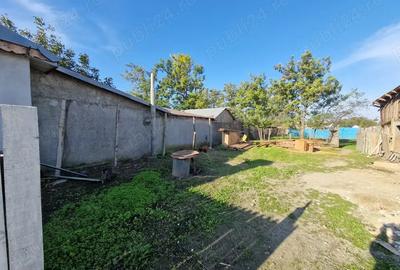 Casa de vanzare si teren, Jud.Braila, Comuna VIZIRU - 7