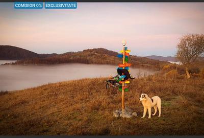 Teren intravilan  in Sohodol , Alba - 1