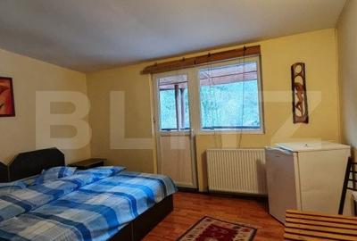 Casă individuală cu 9 camere cu Teren 3800 Mp în Glăjărie - 11