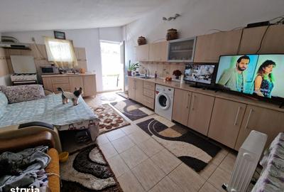 Casă cu 3 camere cu Teren 2722 Mp în Vidra - 8