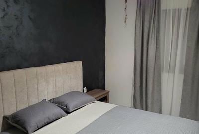 Apartament cu 2 camere decomandat în Șimnicu de Jos - 5