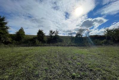 Teren intravilan - constructii, suprafata totala 5.995 mp, Șumugiu - 7