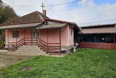 Vind casa ?i gradina 1135mp - 2