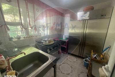 Casă cu Teren 2362 Mp în Tulnici - 5