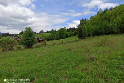 TEREN INTRAVILAN 4000 MP DE VANZARE - VATRA DORNEI - 3