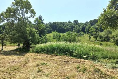 Teren de 93 mp, în Densuș - 1