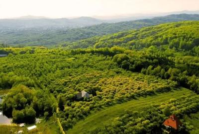 Teren 500 mp intravilan Campina – premium, pozitie panoramica, deschidere 19m - 3