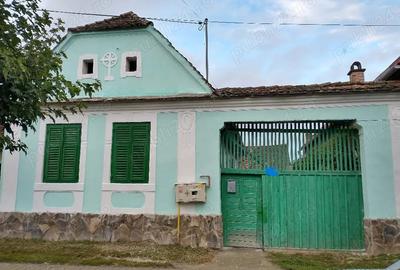 Locuin?a ideala pentru via?a rurala sau turism Dane?, Mure? - 8