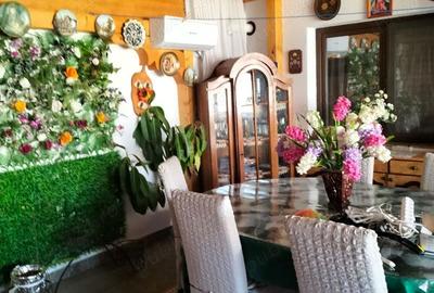 Casa de vanzare chisineu-cris,arad - 10