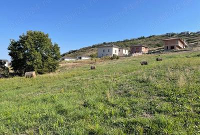 Teren în Dezmir - 7