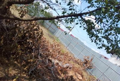 Teren Construcții intravilan de 939 mp, în Târgșoru Nou - 2