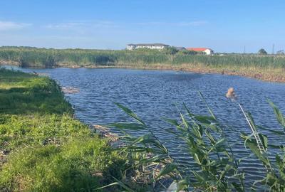 Teren intravilan 4.200 mp Murighiol - 7