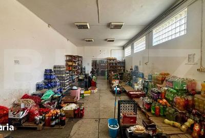 Spațiu comercial, de 264 mp, în George Enescu - 7
