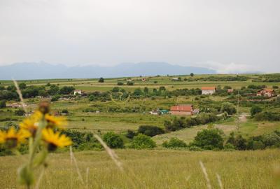 Teren 1,500 mp, vedere panoramica, Sibiu-Daia Noua - 3