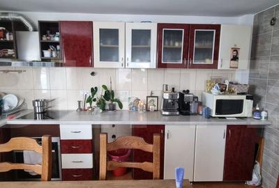 Casă cu 4 camere cu Teren 7000 Mp în Mitocu Dragomirnei - 8