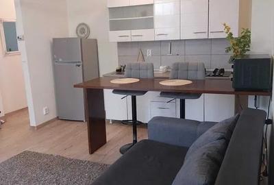 Apartament cu 2 camere semidecomandat în Tătărași - 3