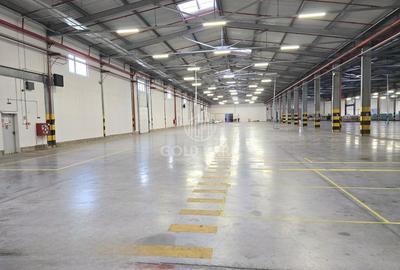 Spatiu Industrial - Turda - Constructie Noua- Autorizatie ISU - 4