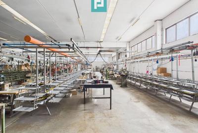 Hală de producție, cu birouri și teren, în Sebiș - 10