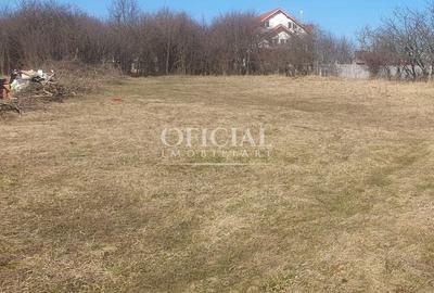 Teren agricol intravilan de 2964 mp, în Tureni - 1