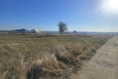 Teren de 1000 mp, în Central - 2