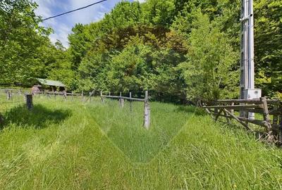 Casă cu 3 camere cu Teren 1614 Mp în Sita Buzăului - 15