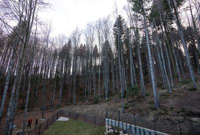 Apartament cu 4 camere în Furnica - 26