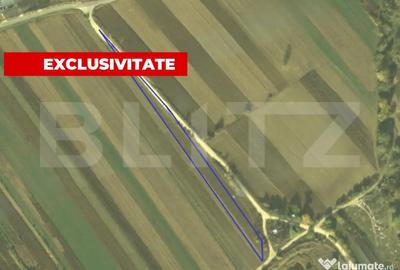 Teren în Vințu de Jos - 1