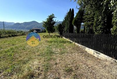 Teren comuna Alexandru cel Bun , drumul spre Bisericani - 3