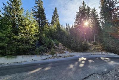 Vanzare Teren 2500 mp.Moroeni - 4