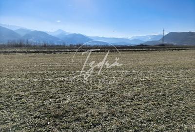 Teren agricol extravilan de 2800 mp, în Periferie - 8