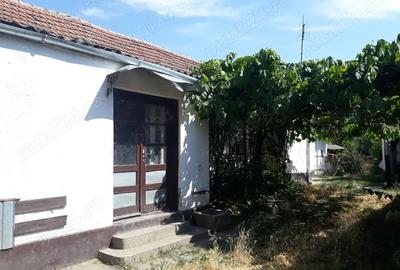 Casă cu 4 camere cu Teren 1131 Mp în Uivar - 7