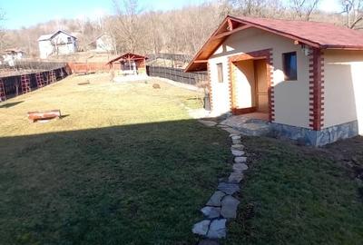 Casa de vacanta pitoreasca P+M (134mp / 1350mp) - 6