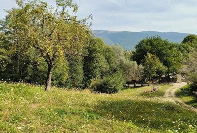Teren de 3800 mp, în Slatina - 2