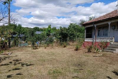 Casă cu 4 camere cu Teren 2368 Mp în Blăjani - 3