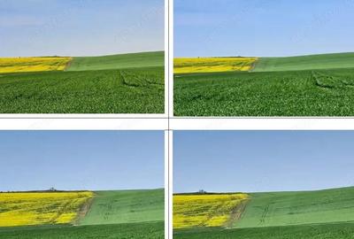 Teren extravilan, loc. Barza, jud Olt, - 3