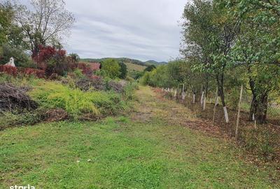 Teren de 1200 mp, în Goranu