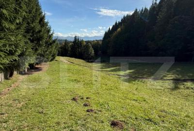 Teren intravilan 28 Ari zona Colibita - 4