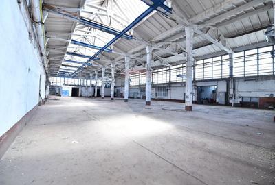 Teren industrial 35.000 mp cu hale de productie Craiova - 11
