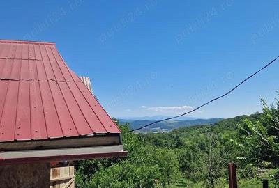 Teren 6926 mp de vanzare in Valea Danului jud Arges - 4