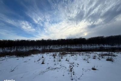 Teren de 1200 mp, în Brănești - 8