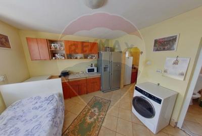 Casă / Vilă cu 5 camere de vânzare, Sarasau - 24