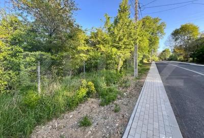 Teren de 2700 mp, în Central - 8