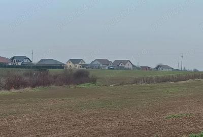 Teren de 558 mp, în Livada de Bihor - 4