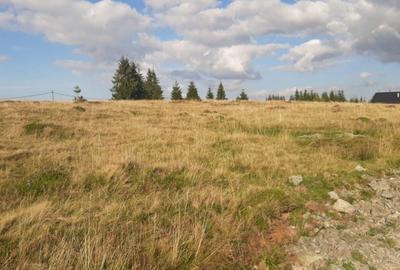 Teren de 1000 mp, în Beliș - 1
