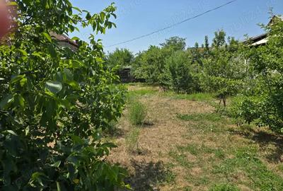 Vand teren intravilan in centrul Orasului Buzias strada Republicii cu toate utilitatile