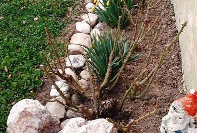 Casă cu 2 camere cu Teren 2800 Mp în Boțești - 7