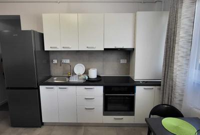 Apartament cu 2 camere decomandat, mobilat în Noua - 6