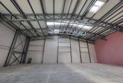 Spațiu comercial, de 500 mp, în Central - 1