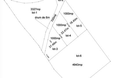 Teren Construcții extravilan de 1000 mp, în Neagra Șarului - 2